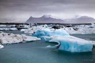 Jokusarlon iceberg lagoon-9242